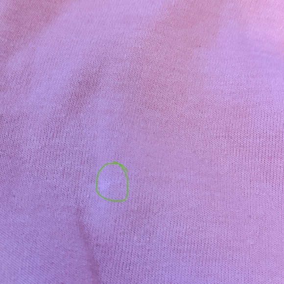 Aviator Nation Mauve Pink Sweatshirt with Velvet Striped Accents - Picture 9 of 10